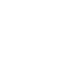 Logo Die Steinreiniger Niedersachsen